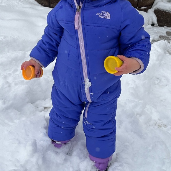 NorthFace Bunting - Picture 6 of 6